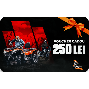 Voucher Card Cadou 250 LEI