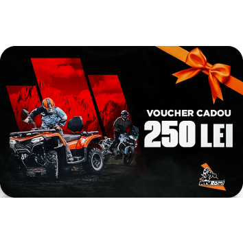 Voucher 250 LEI